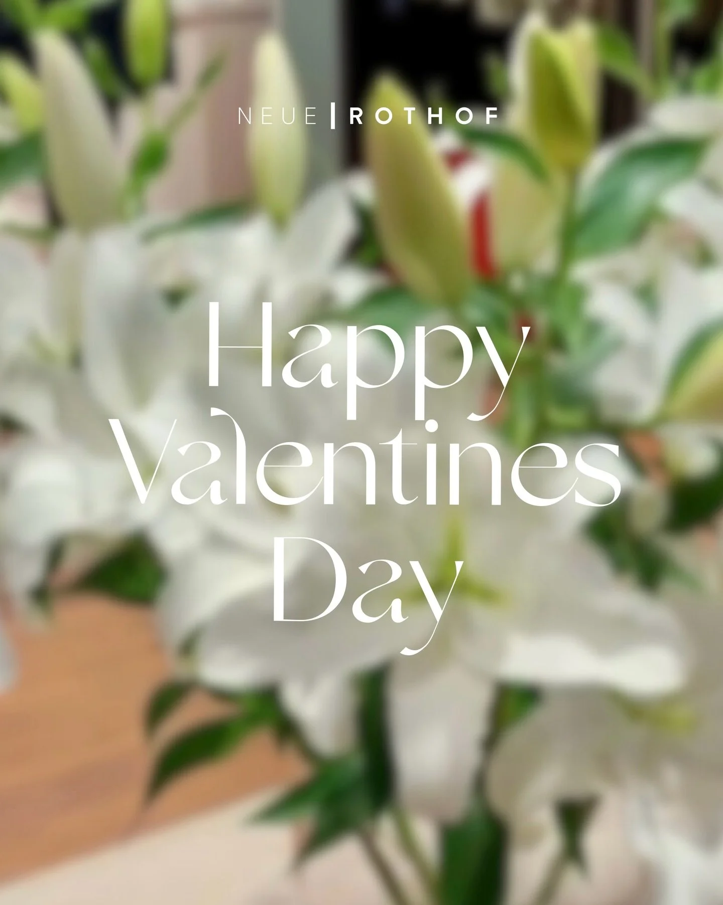 Wir w&uuml;nschen allen einen wundervollen Tag voller Liebe! 🫂❤️
➖ #neuerothof #frankfurtammain #frankfurtdubistsowunderbar #valentinesday