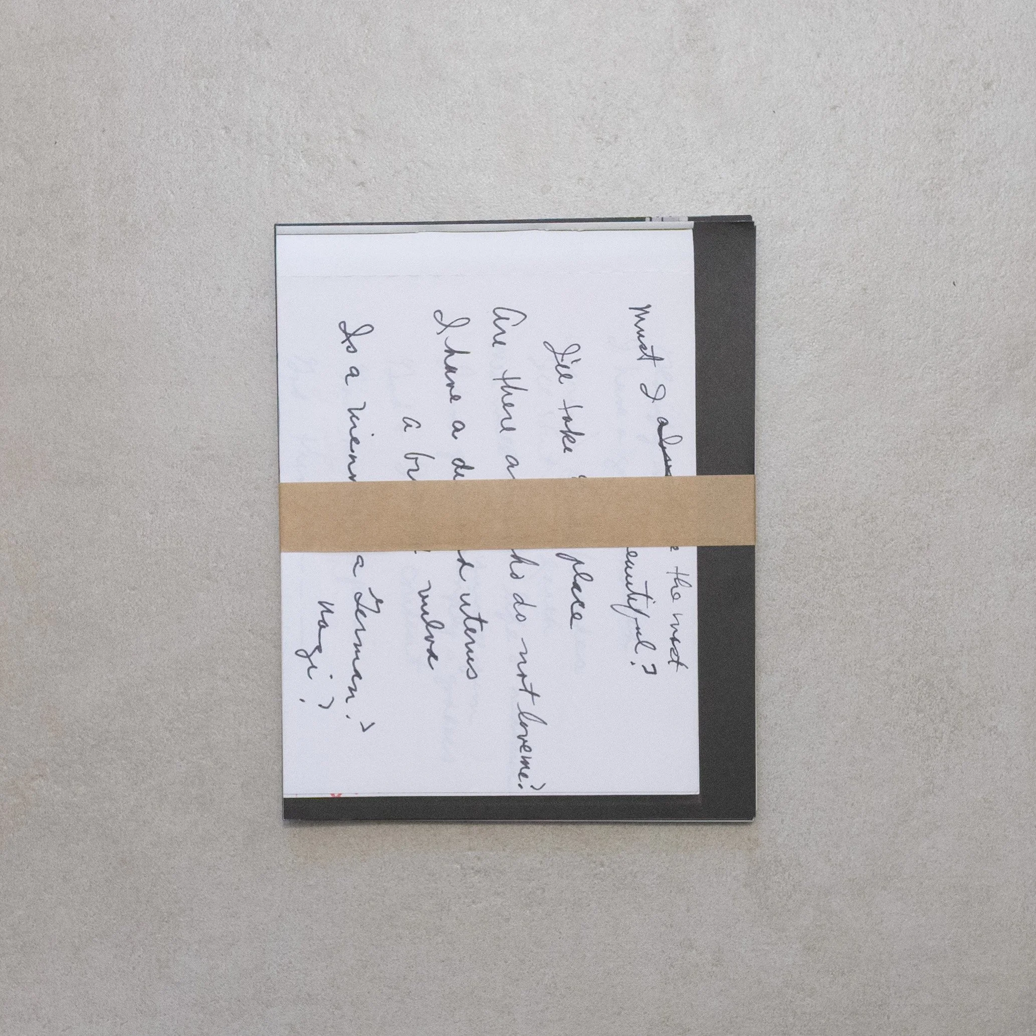 Ida Applebroog / Ida Applebroog [14 folded A3 poster]