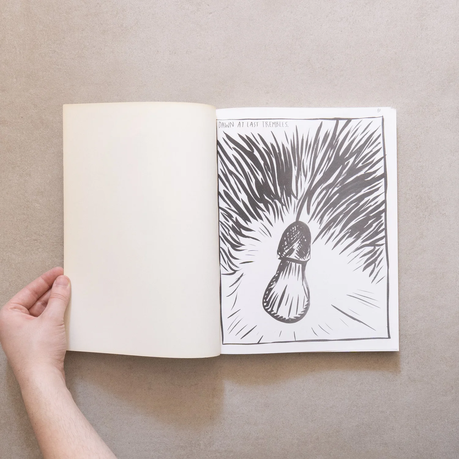 B. Wurtz, Dodie Bellamy, Raymond Pettibon / Farm 5 — Studio Bruno 