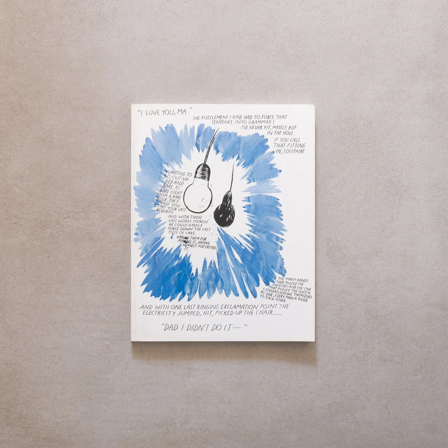 B. Wurtz, Dodie Bellamy, Raymond Pettibon / Farm 5 — Studio Bruno 