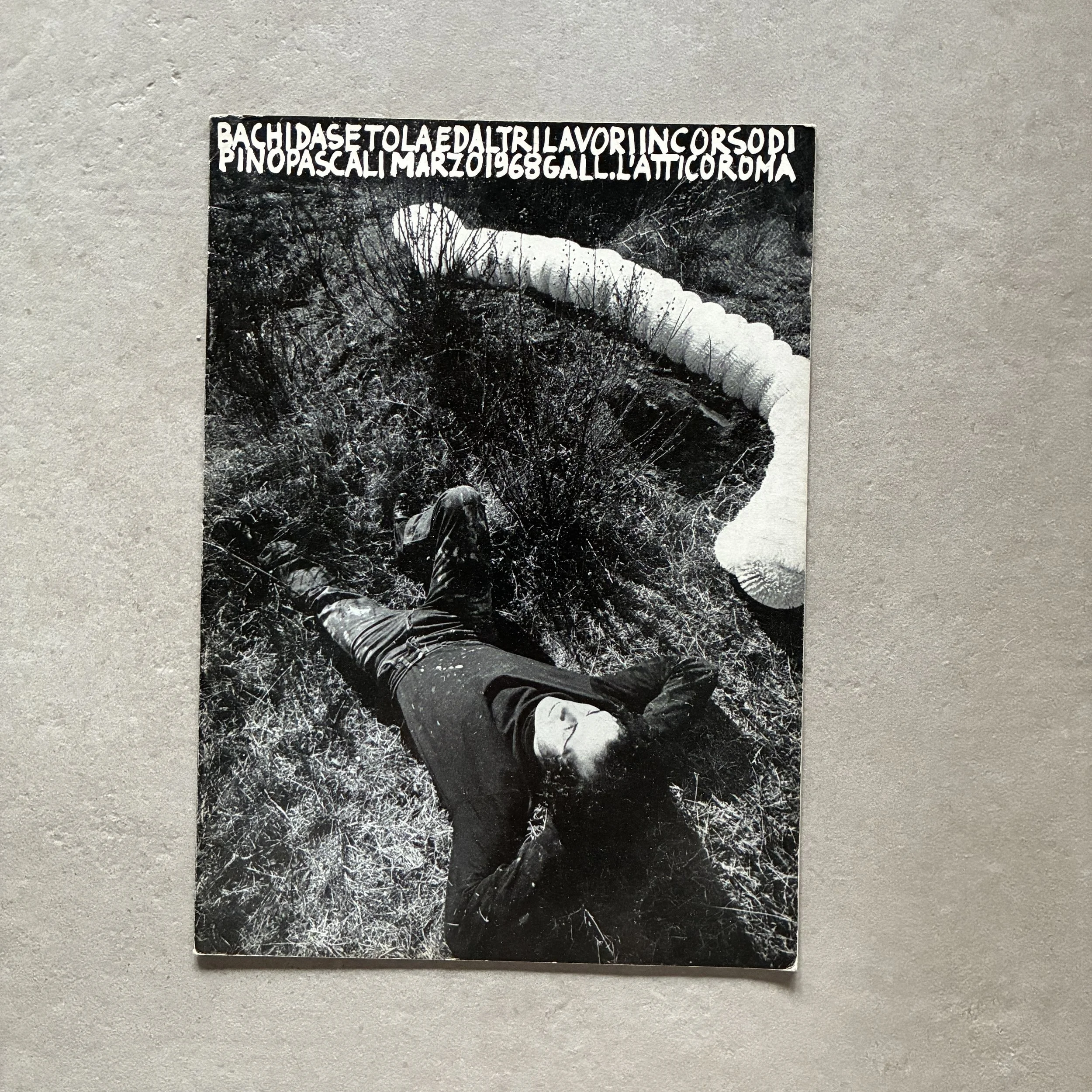 Pino Pascali / Bachi da setola ed altri lavori in corso Pino Pascali Marzo 1968 Gall. L’Attico Roma