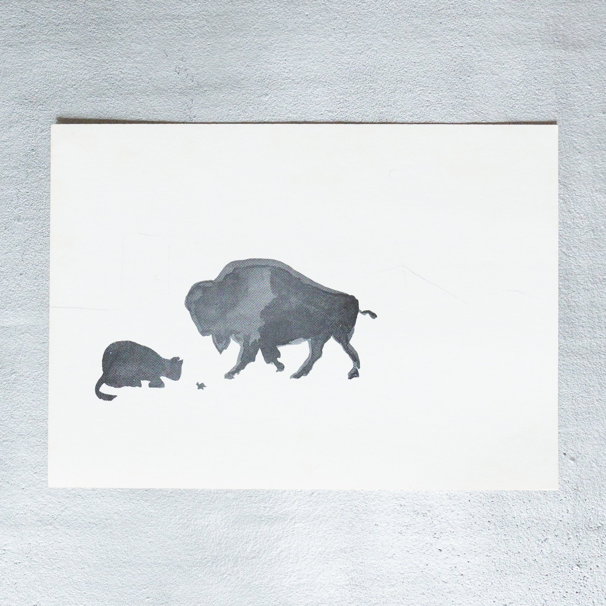 William Wegman / William Wegman