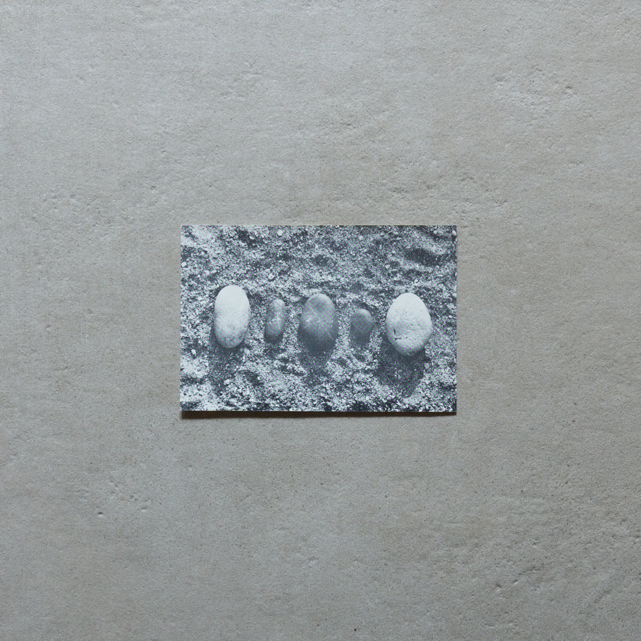 Laura Grisi / Laura Grisi. Pebbles