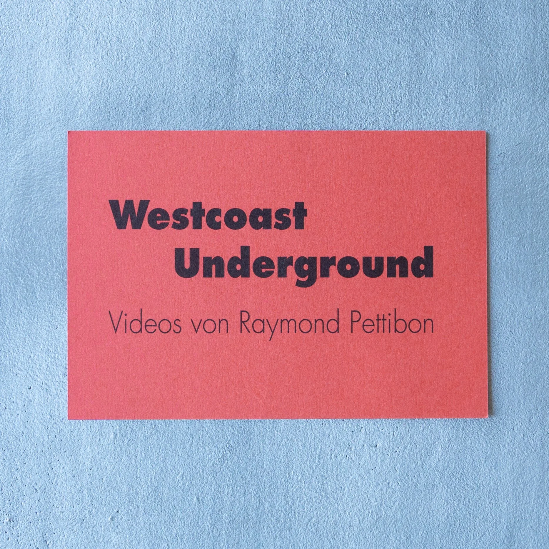 Raymond Pettibon / Videos von Raymond Pettibon