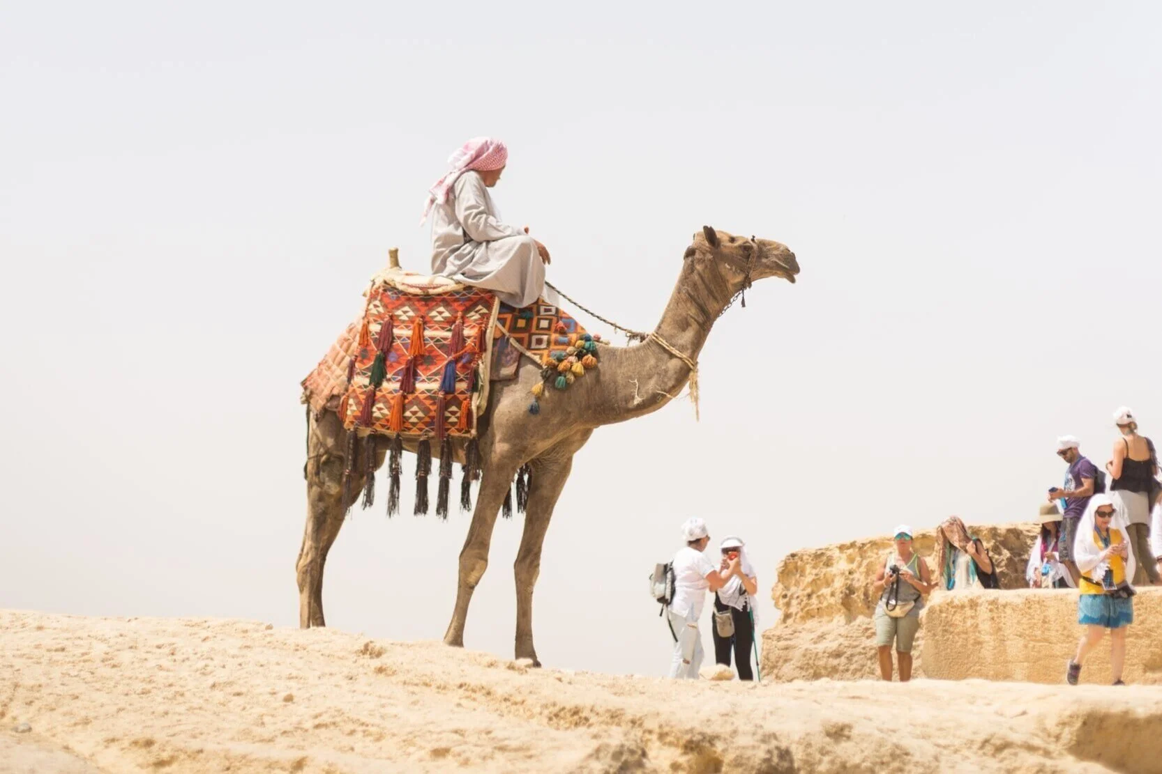A contentious camel was the unlikely subject of the latest in a string of cases examining the duty of care owed by holiday companies for accidents that happen during a holiday excursion.