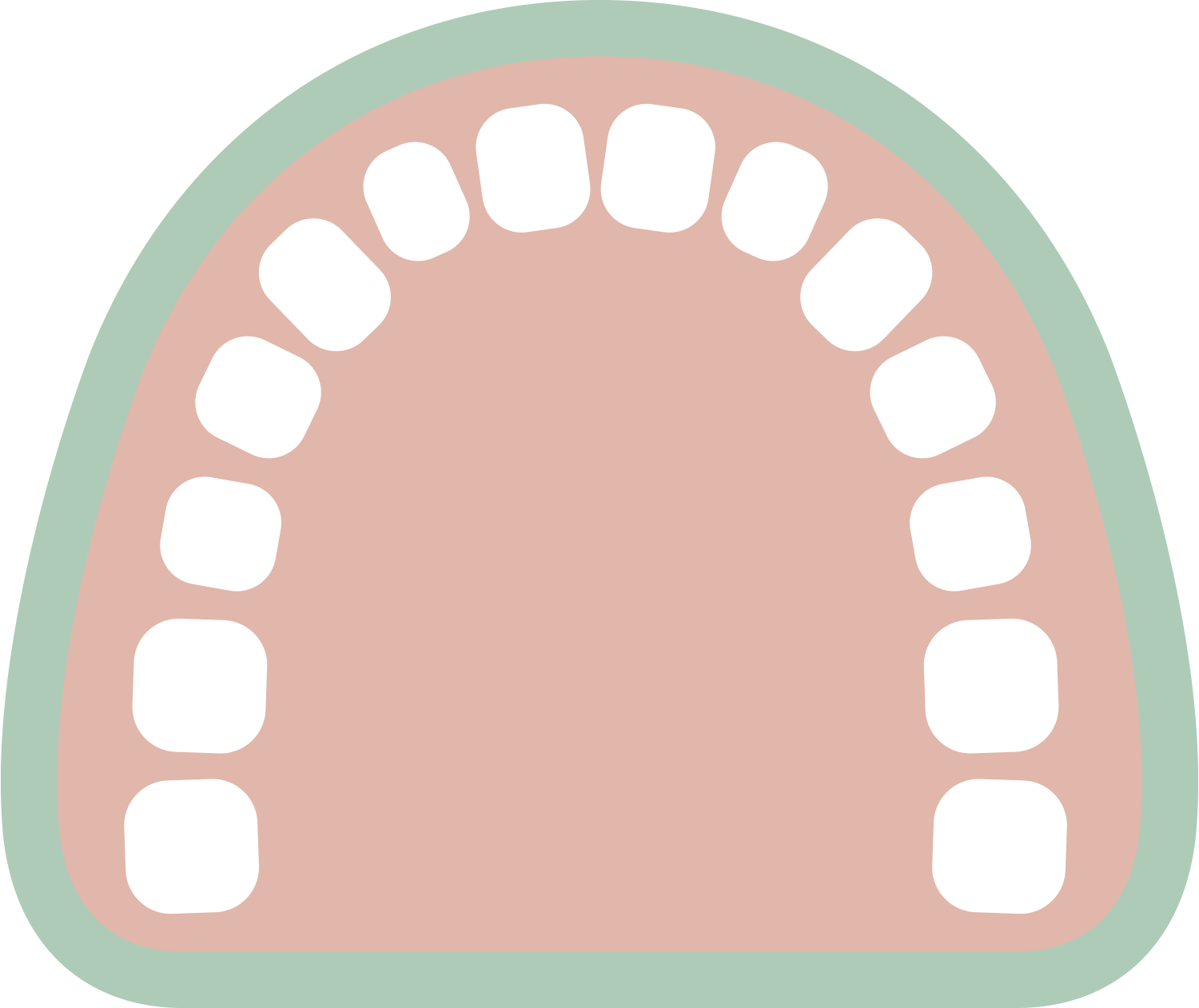 Diagram of the upper jaw showing 12 teeth, including incisors, canines, premolars, and molars, with a green outline of gum and surrounding tissue.