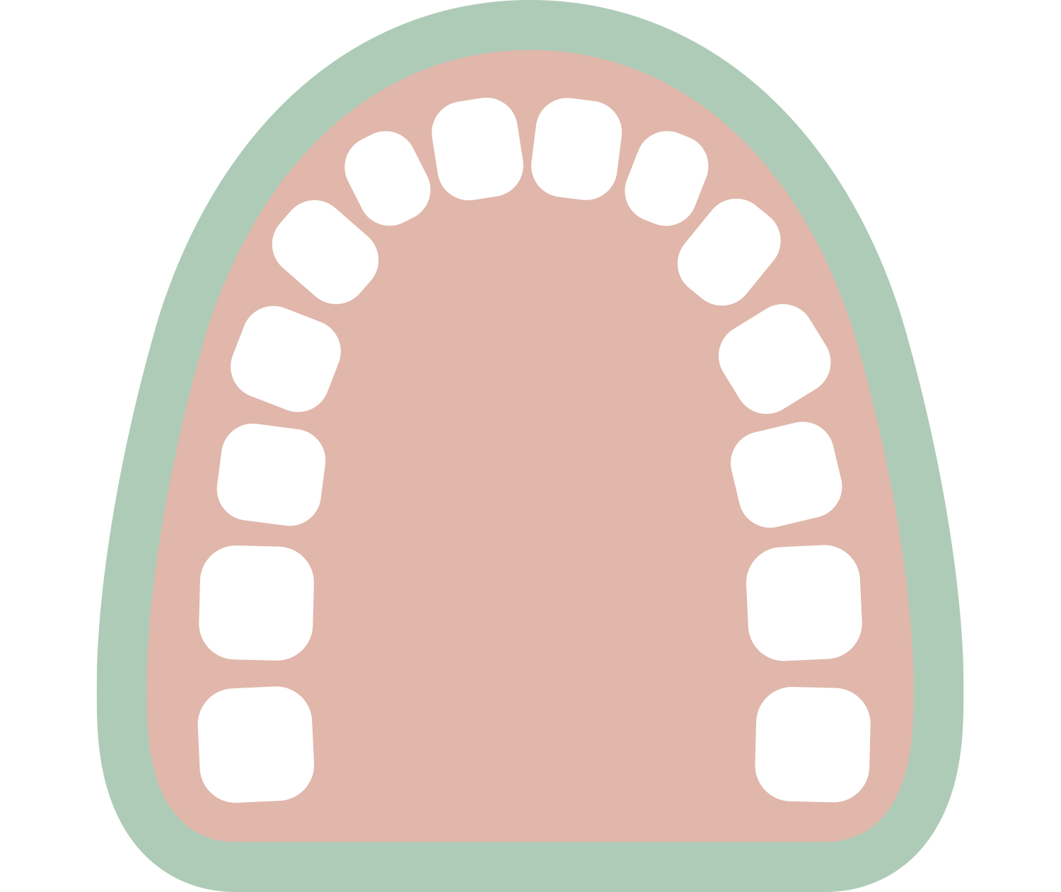 A digital illustration of upper teeth and gums showing healthy teeth and a pink gum line.
