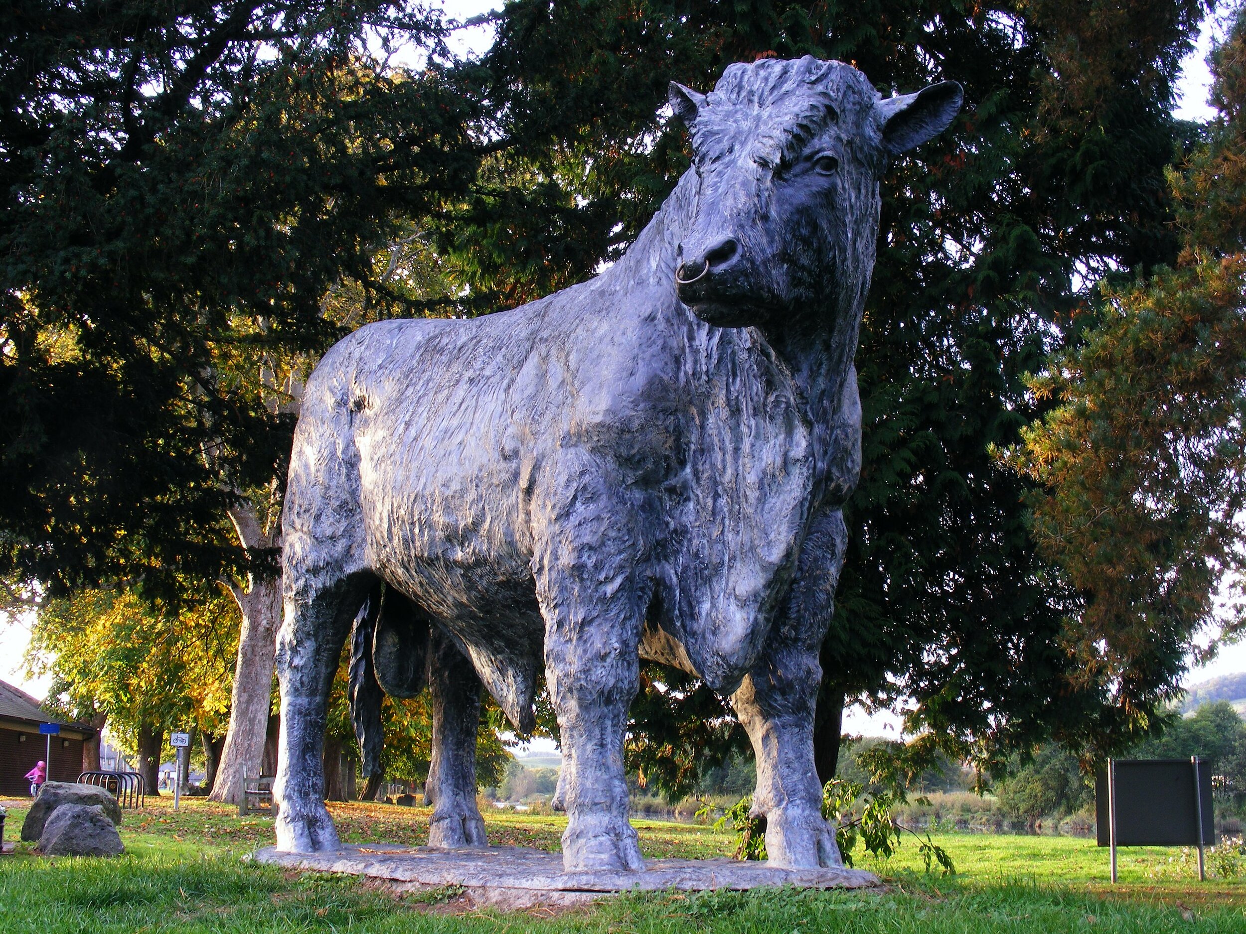 Bull.jpeg