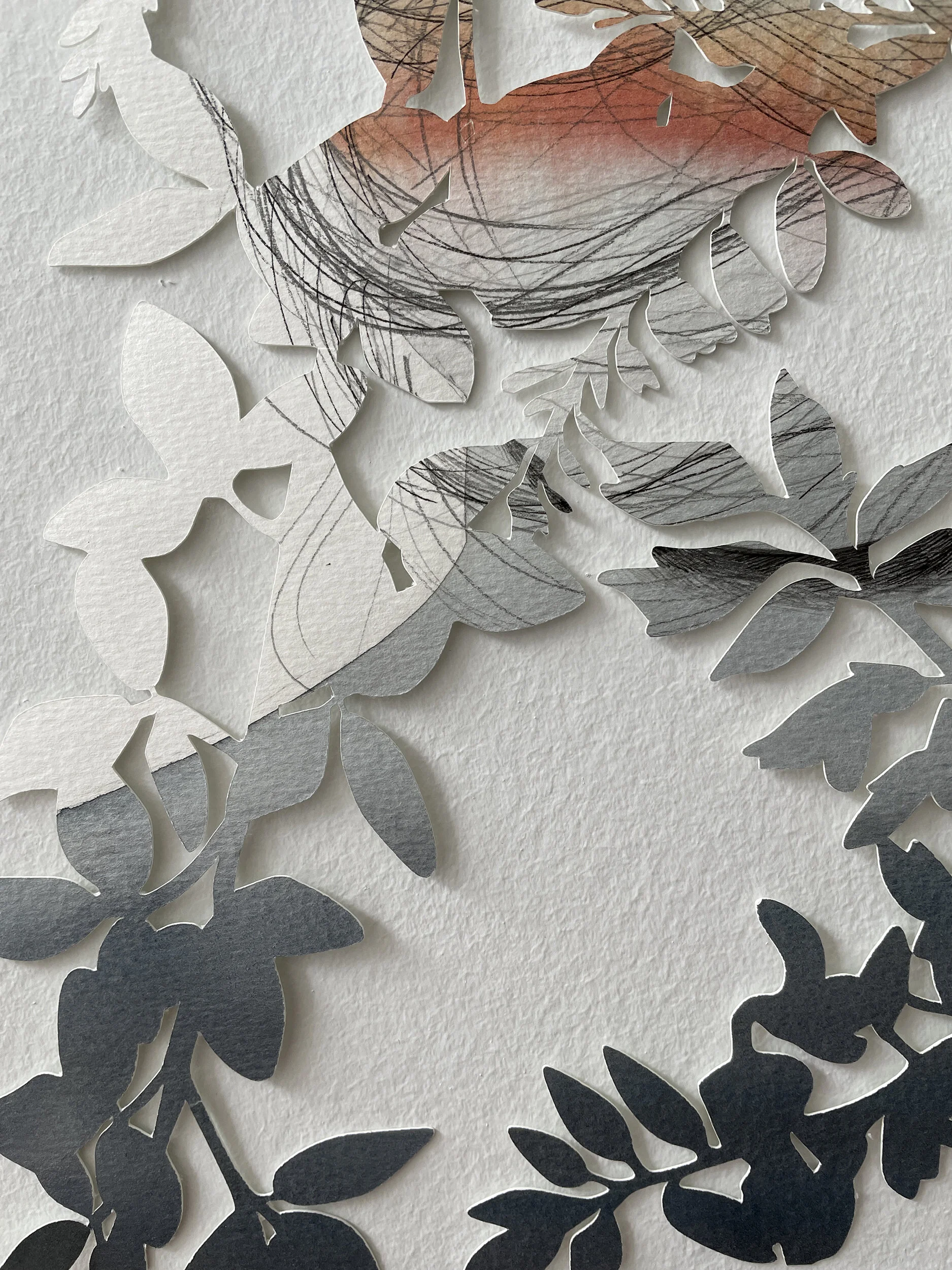 Dusk Series I christinekim cut drawing detail 3.jpg