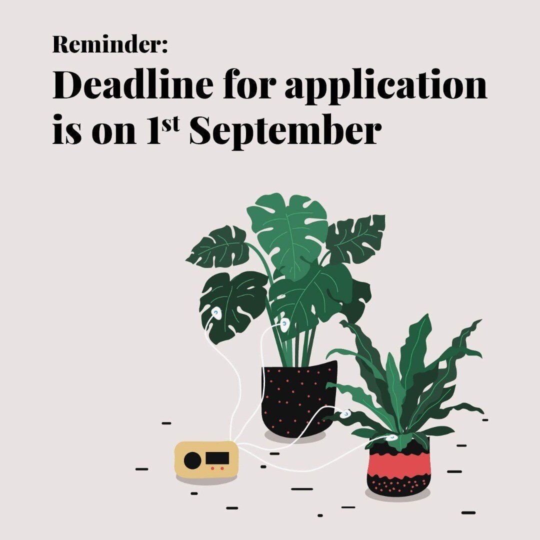 Applications for our second workshop is in full swing! Remember to send in your application too!

Our workshop will introduce you to some plant knowledge as well as exercises to help you know your plant and deepen your relation to it. You will get to