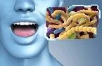 D.jpg