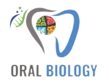 Oral Biology