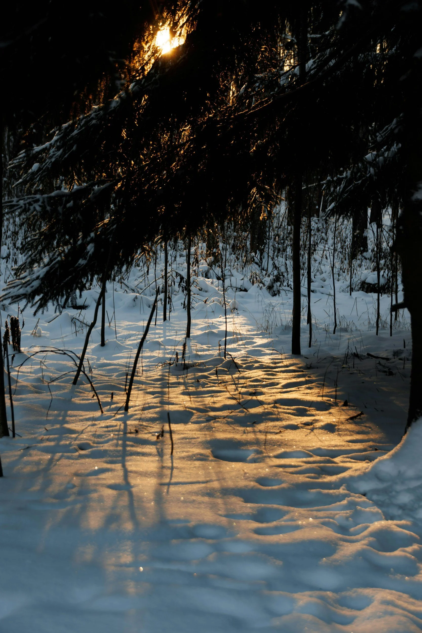 Silhouette of three people standing on a cliff overlooking the ocean at sunset, raising their arms in celebration.