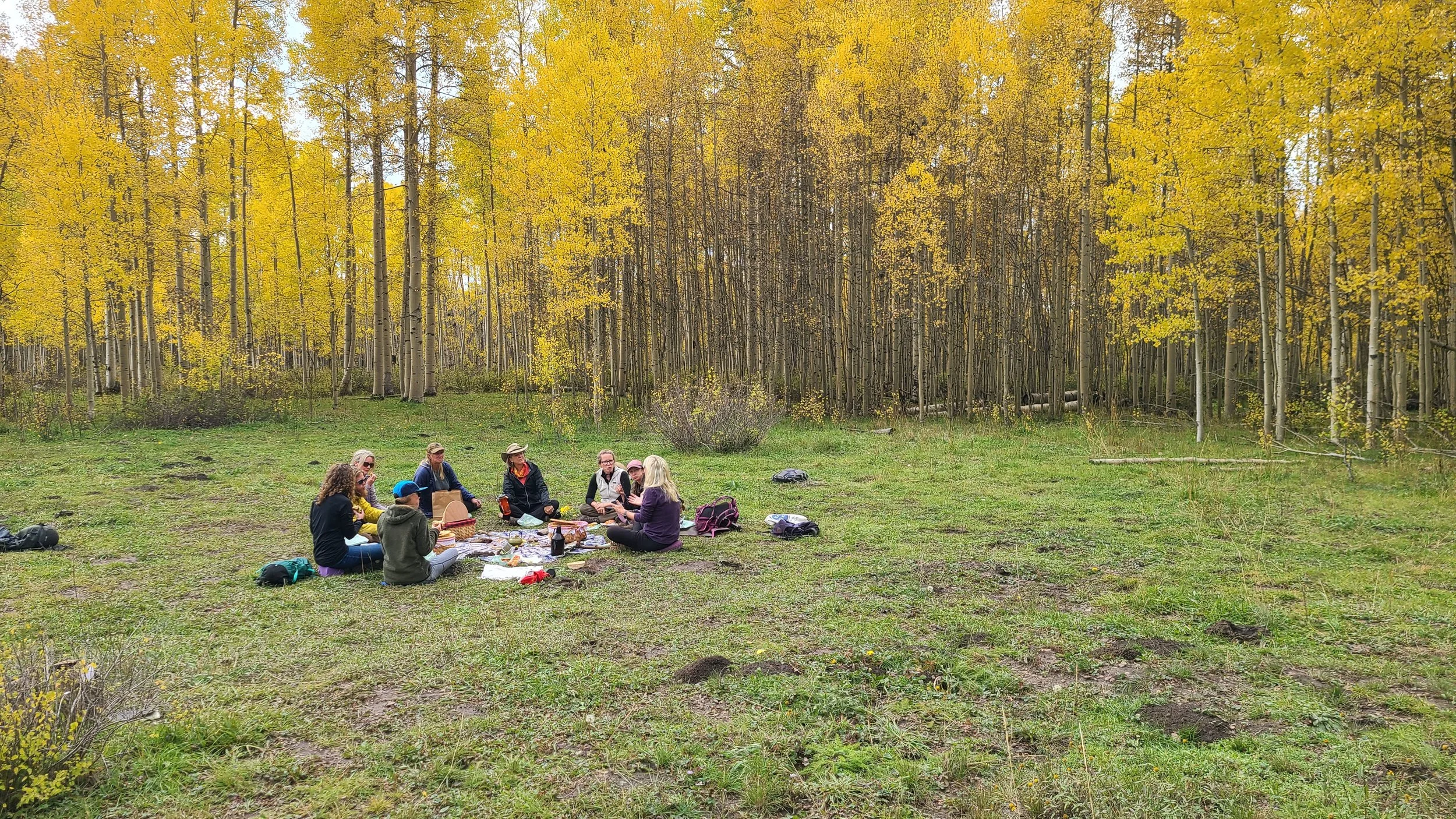 Group having a picnic in a meadow with fall foliage in the background