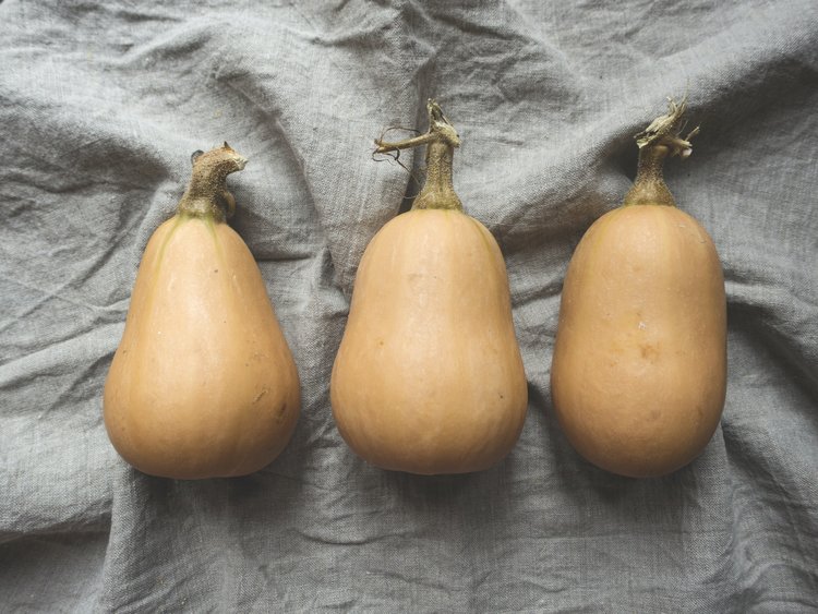 Vegan Stuffed Butternut Squash