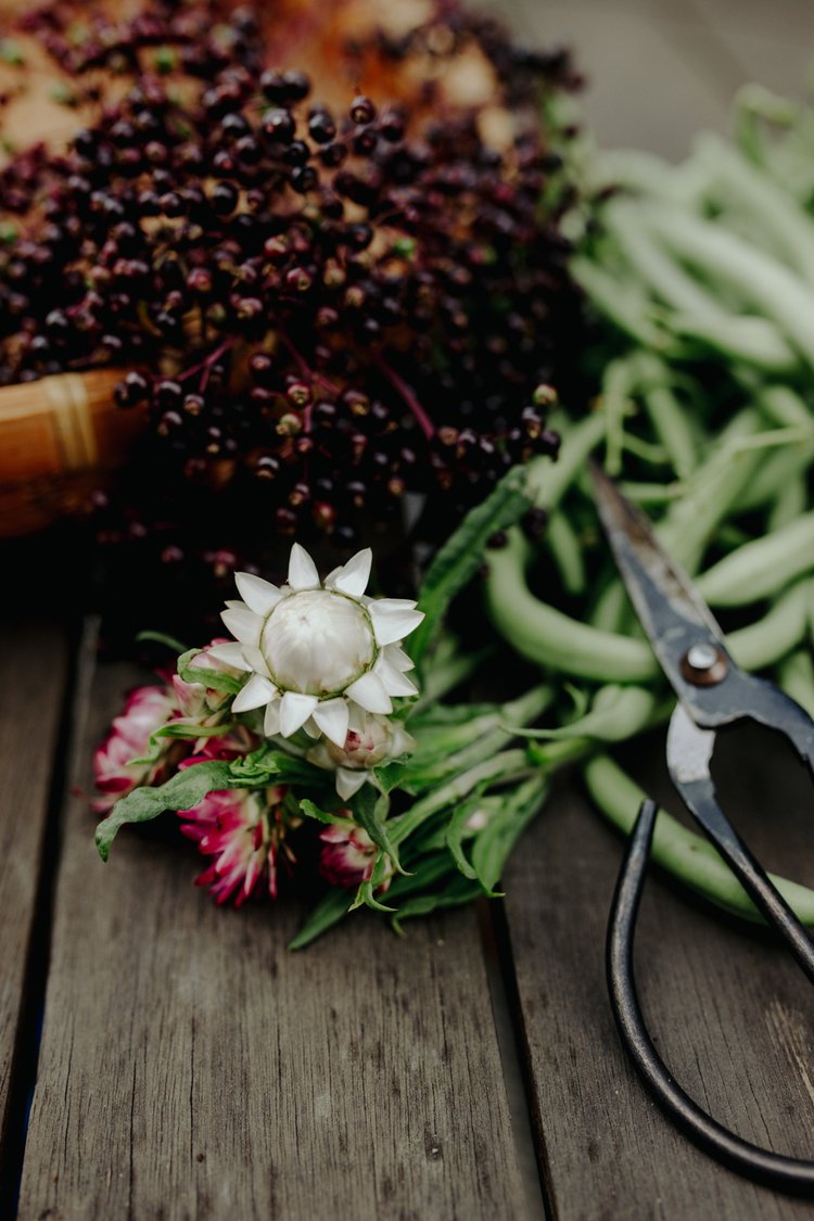 Stovetop Elderberry Syrup