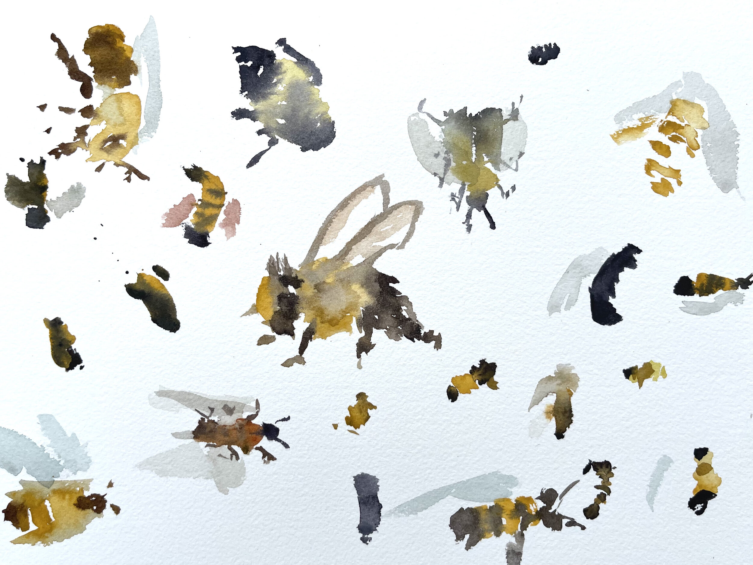 Pollinators