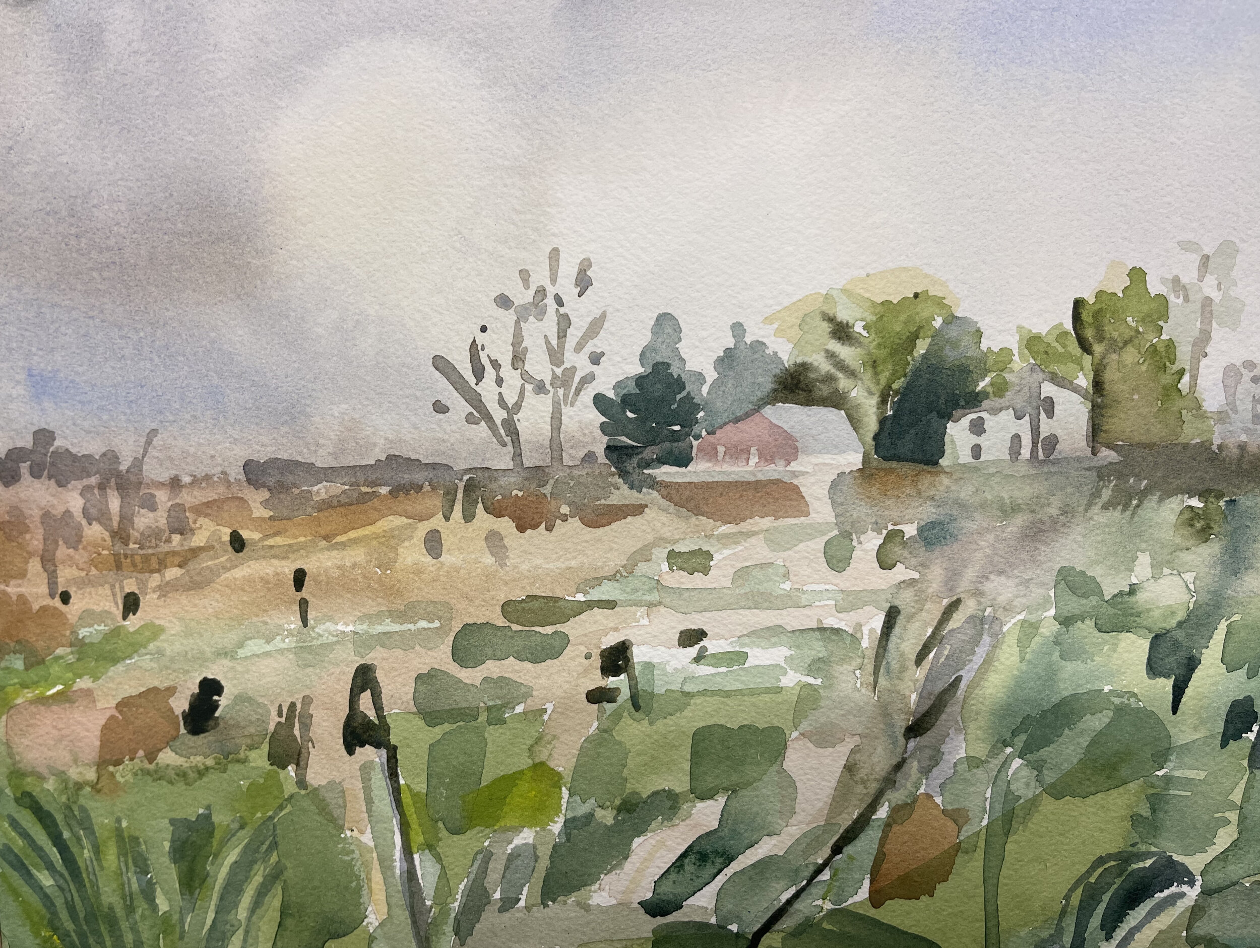 Field II