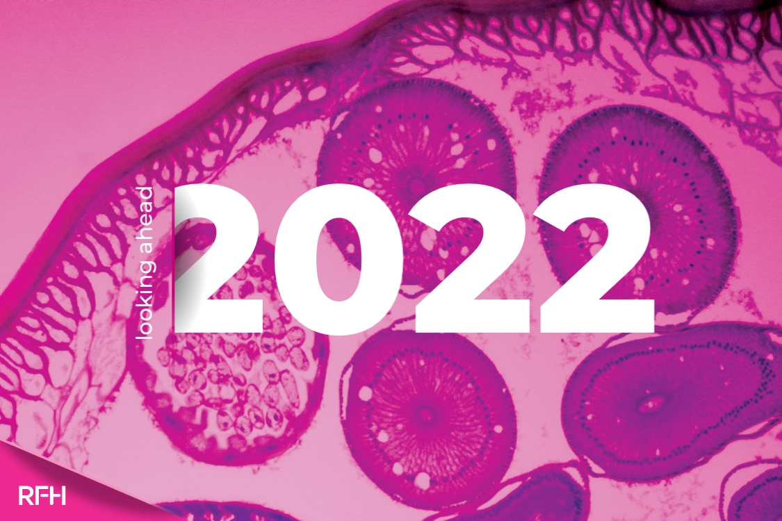 Looking Ahead to 2022