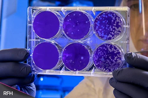 A Dose of Knowledge: “Shelf-Stable” Vaccines for All