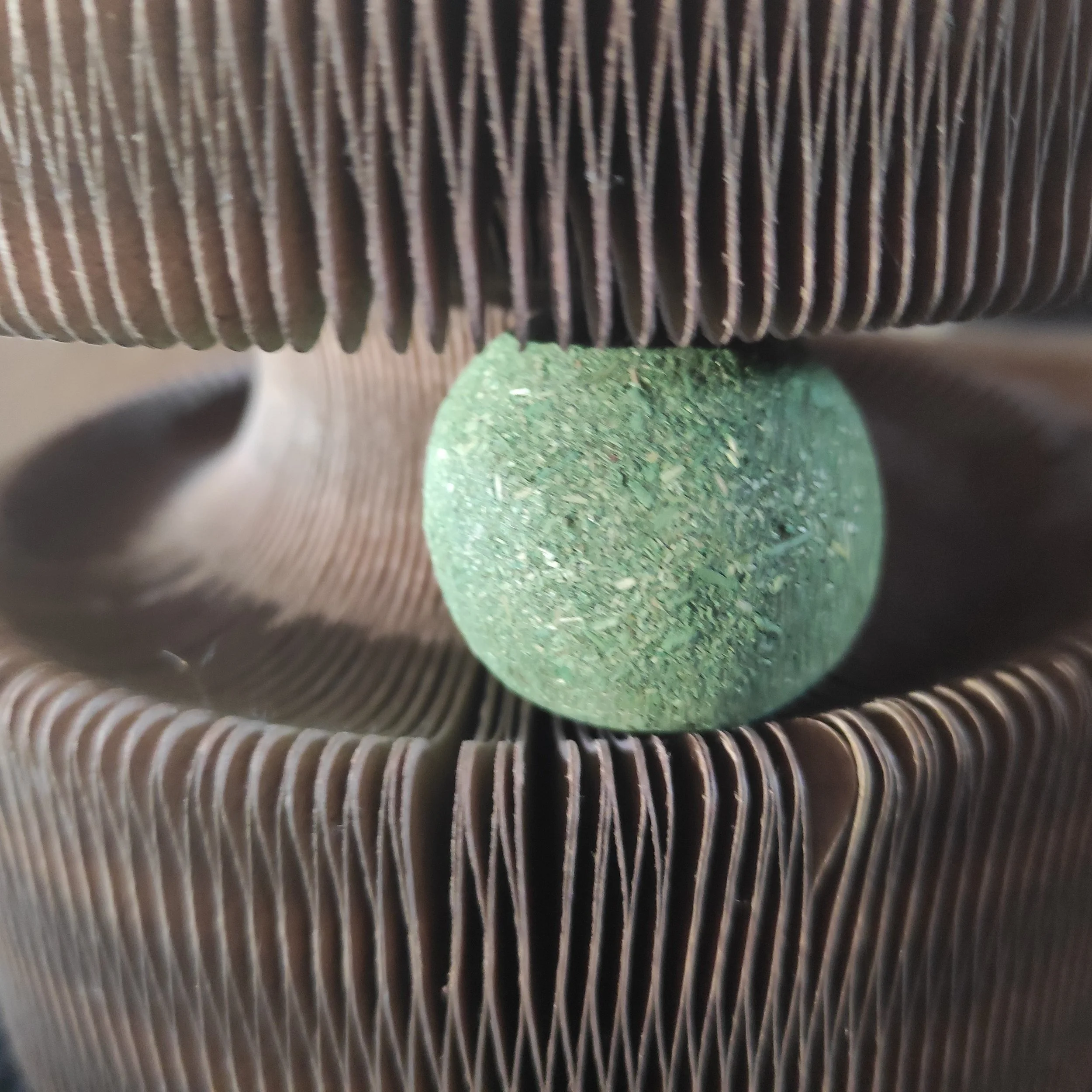 Vortrag zu Resilienz und Trauer