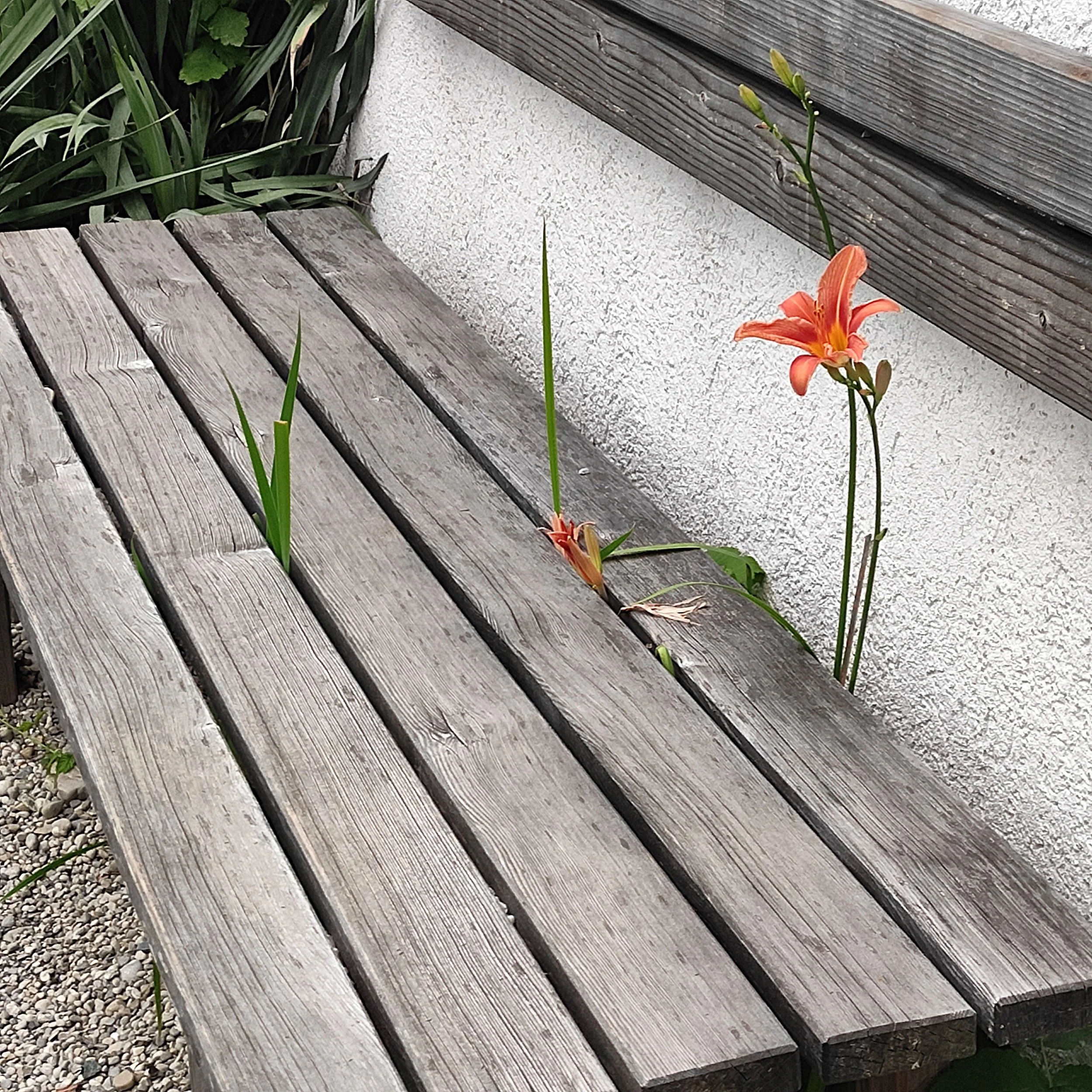 Es ist doch schon so lange her, …