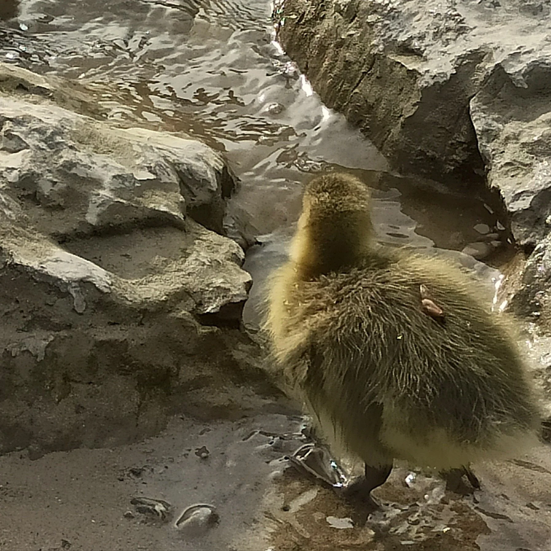 Allein oder einsam 4.1.jpg