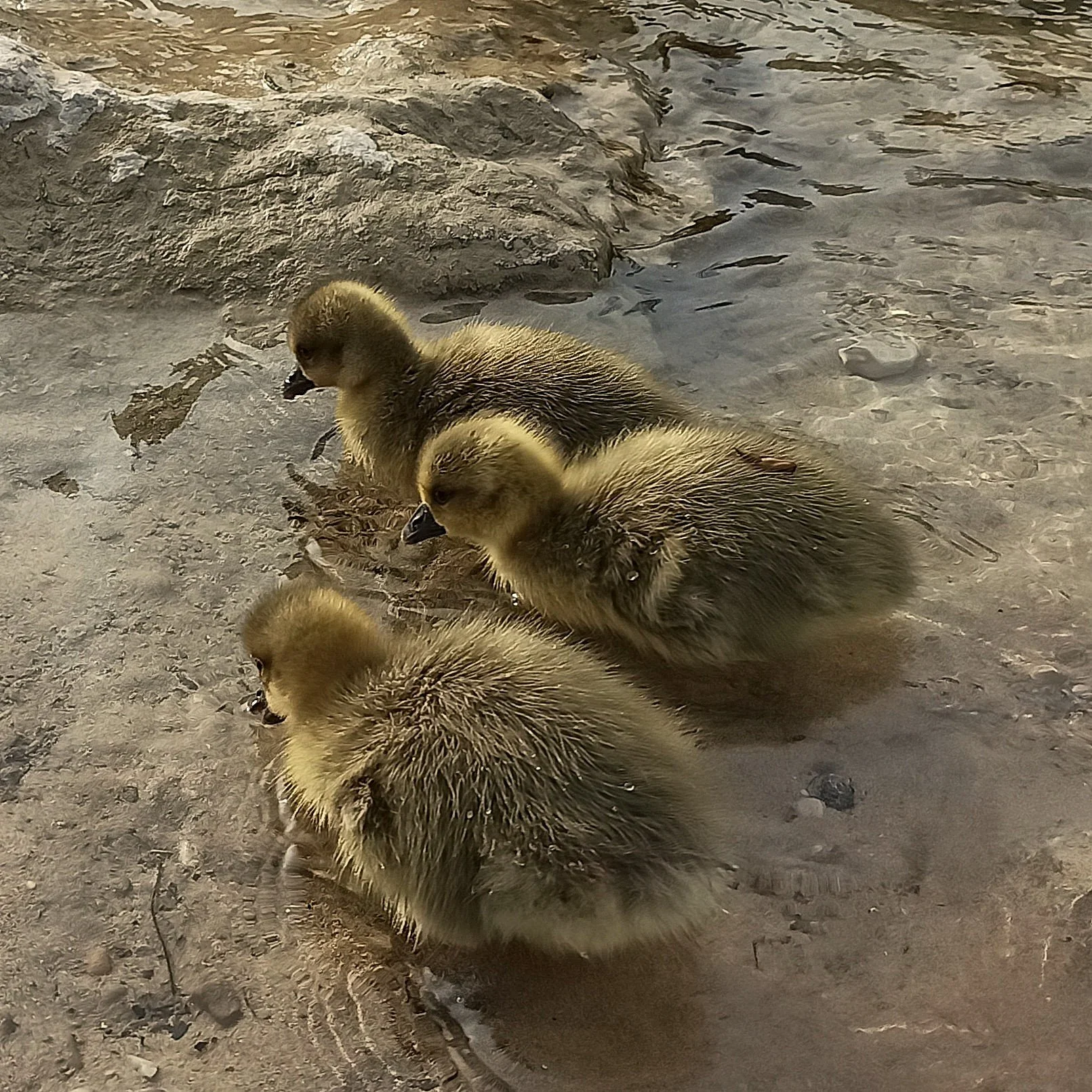 Allein oder einsam 7.jpg