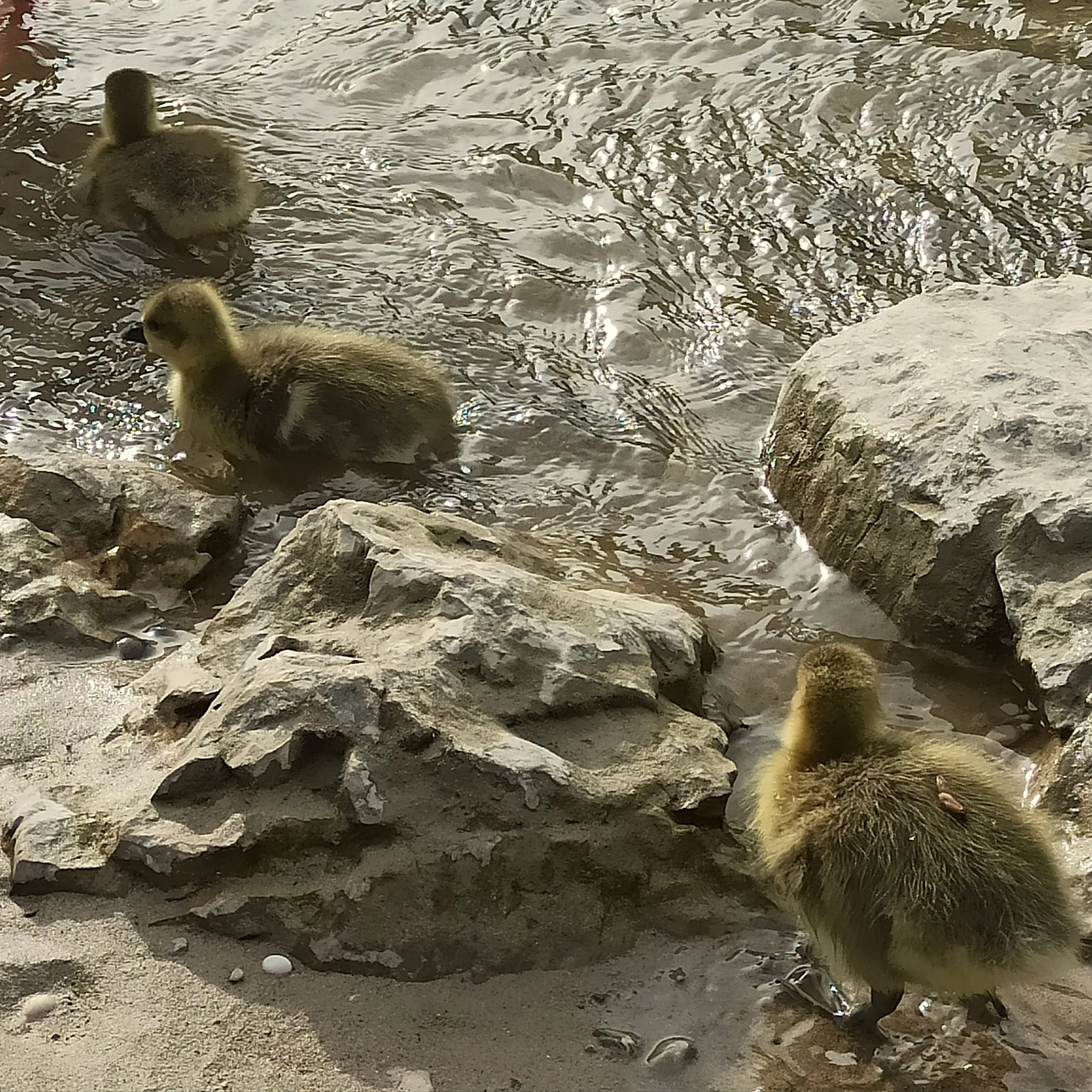 Allein oder einsam 6.jpg