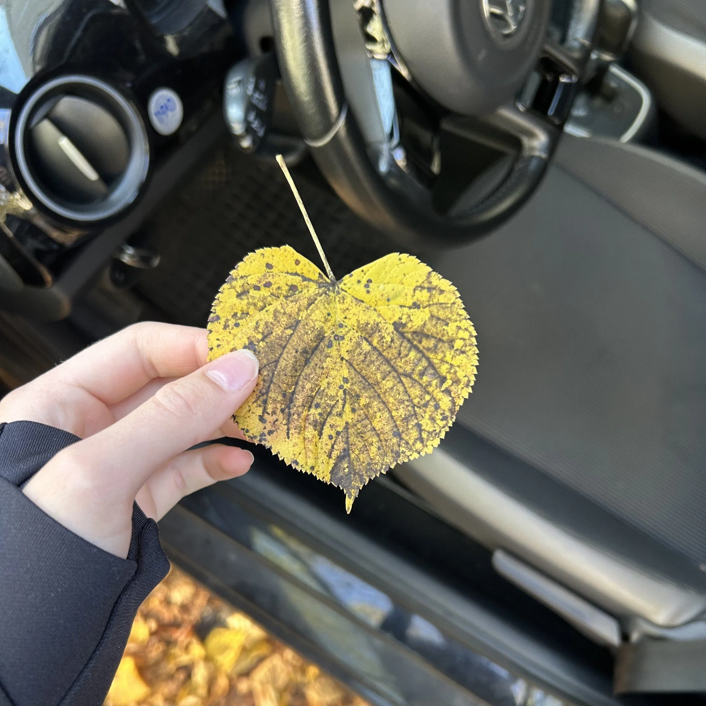 Einfach so! Treffen für junge Erwachsene