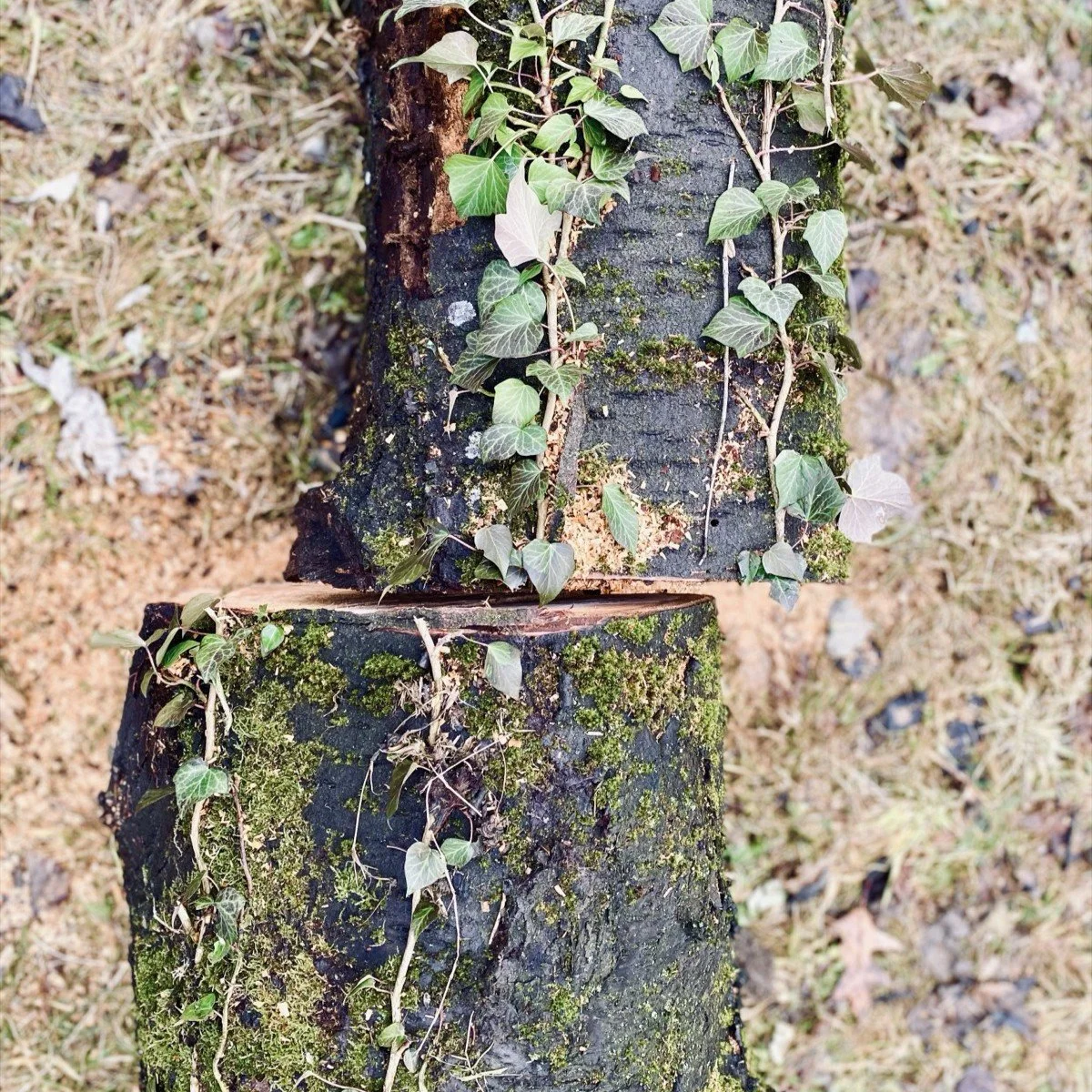 Workshop für Eltern, deren Kinder an sehr seltenen Erkrankungen verstorben sind