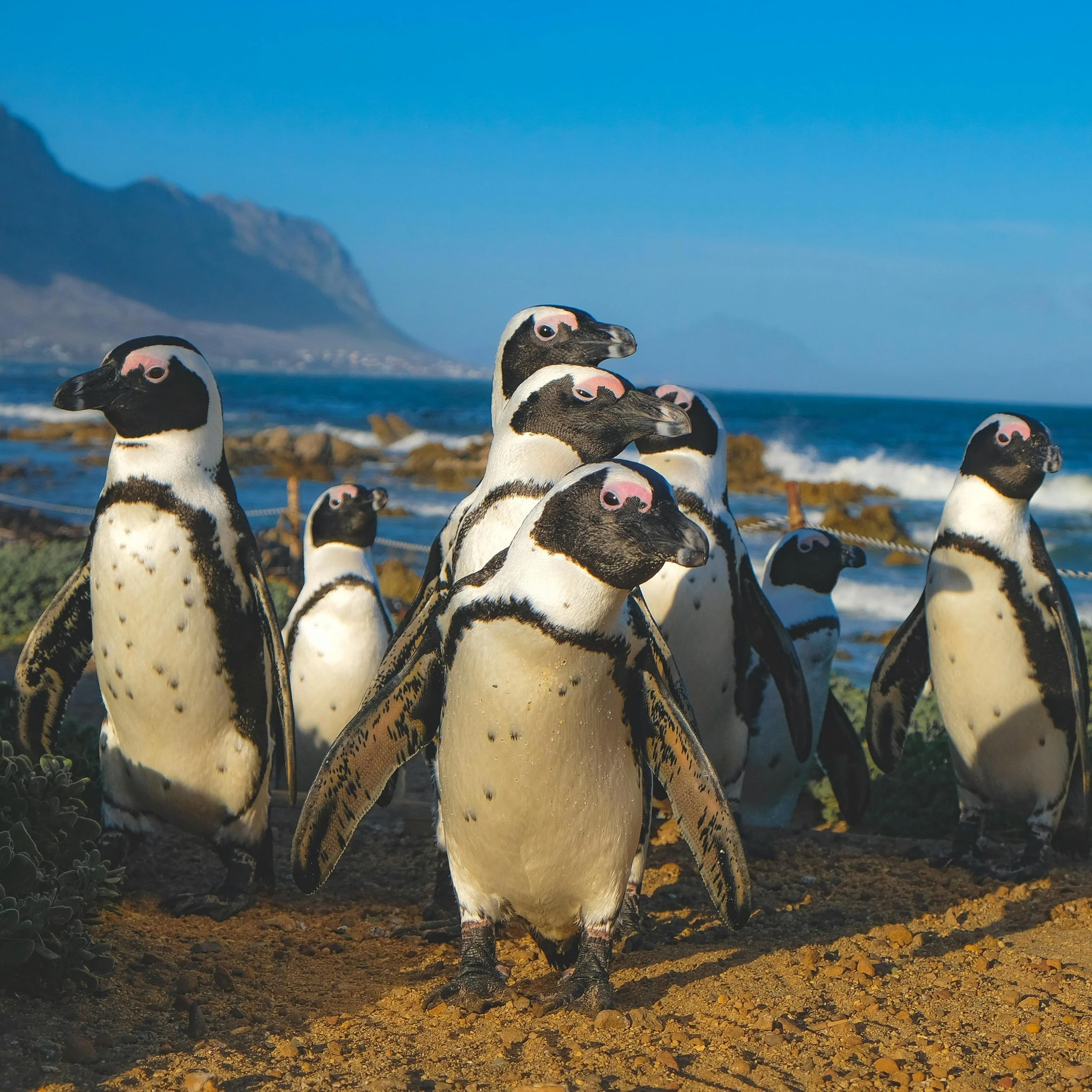 Workshop für junge Menschen mit Verlusterfahrung (18-25 Jahre)
