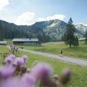 Wandern für die Seele - zur  Schwarzentenn Alm