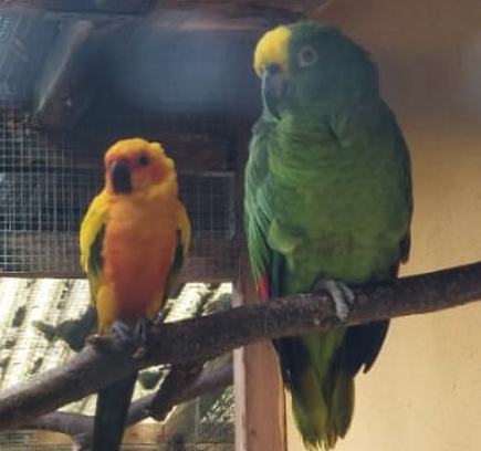 Besuch im Vogelpark Olching 
