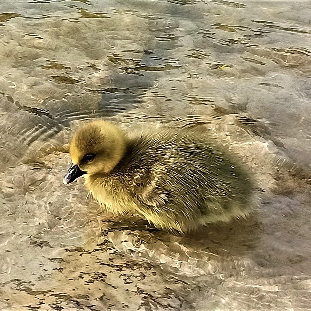 Allein oder einsam 5.jpg
