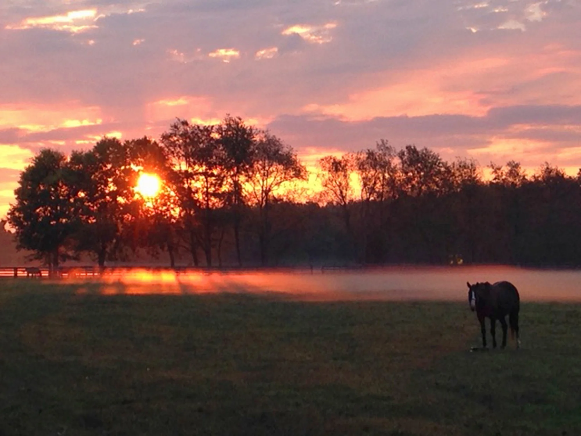 Part 25 - Back Cover - Photo 0725.jpg