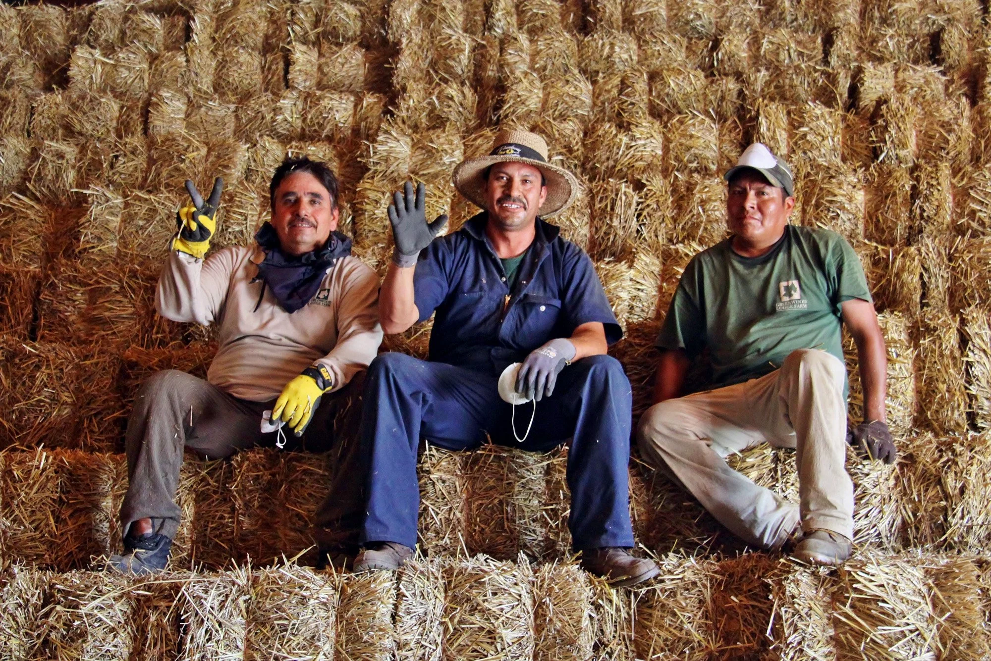 Part 25 - Back Cover - Photo 027.jpg