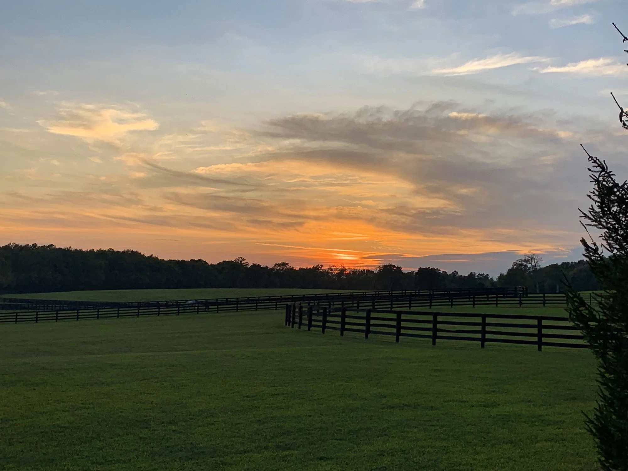 Benson Farm Paris, Kentucky