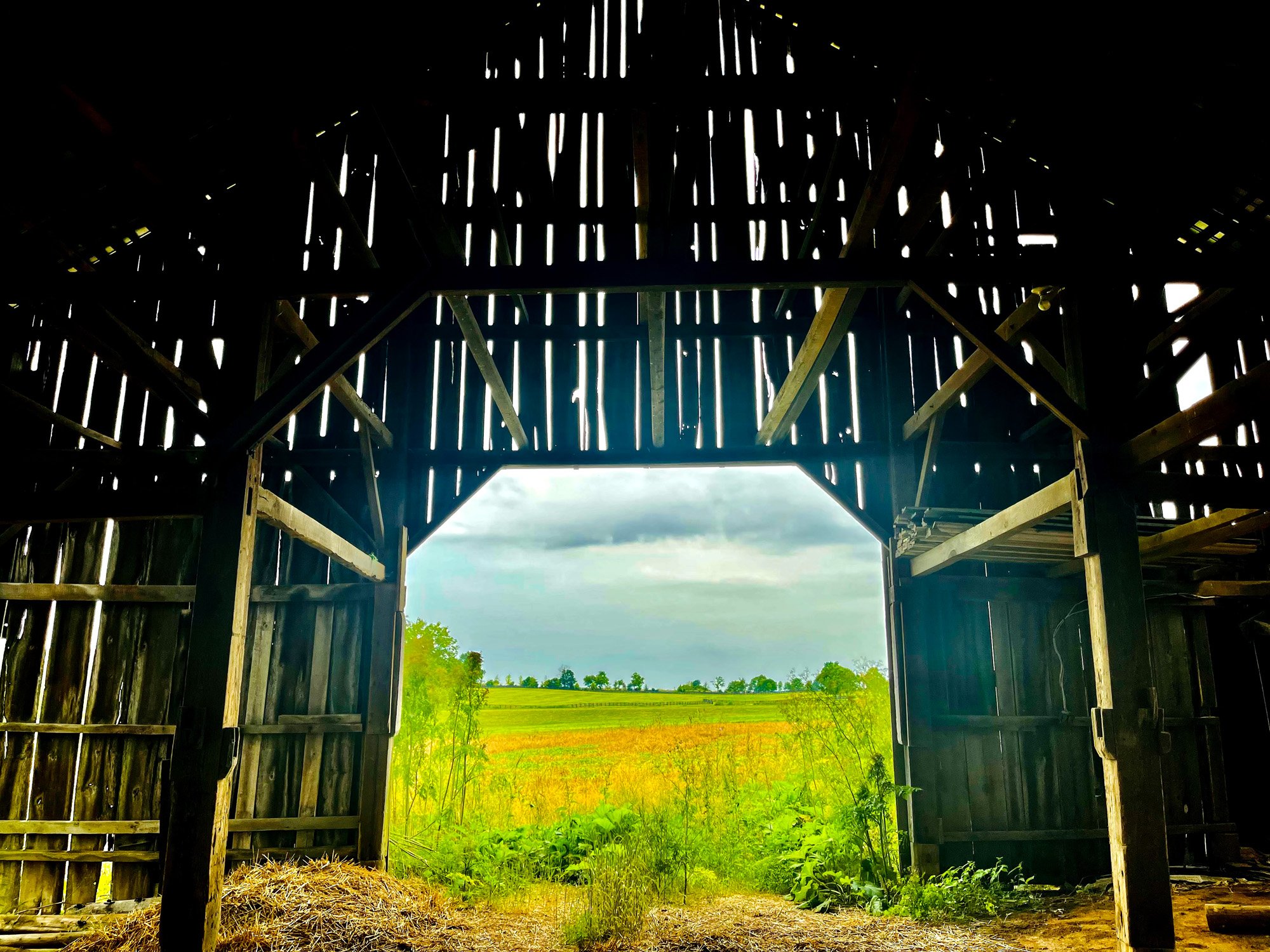 Barns - There are four barns on the property: Creek Barn, Chapel Barn, Hill Barn and Willow Barn. There are also two walking rings.