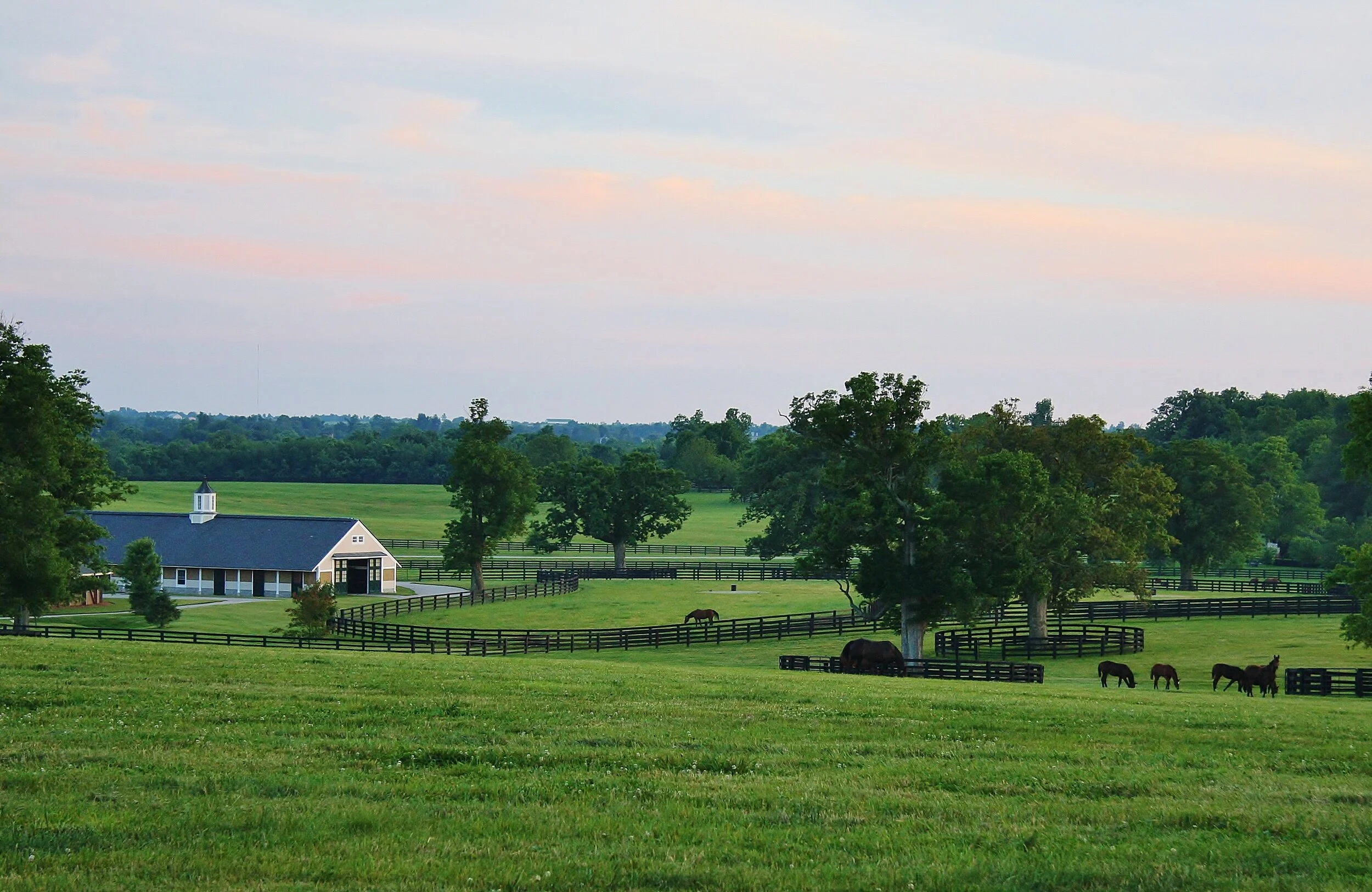 Benson Farm Paris, Kentucky