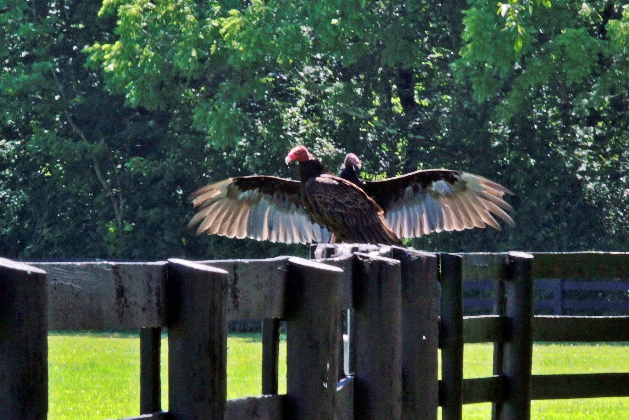 Part 25 - Back Cover - Photo 062.jpg