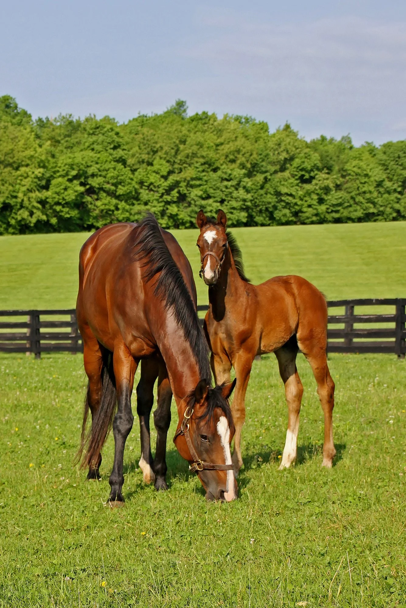 Part 25 - Back Cover - Photo 0138.jpg