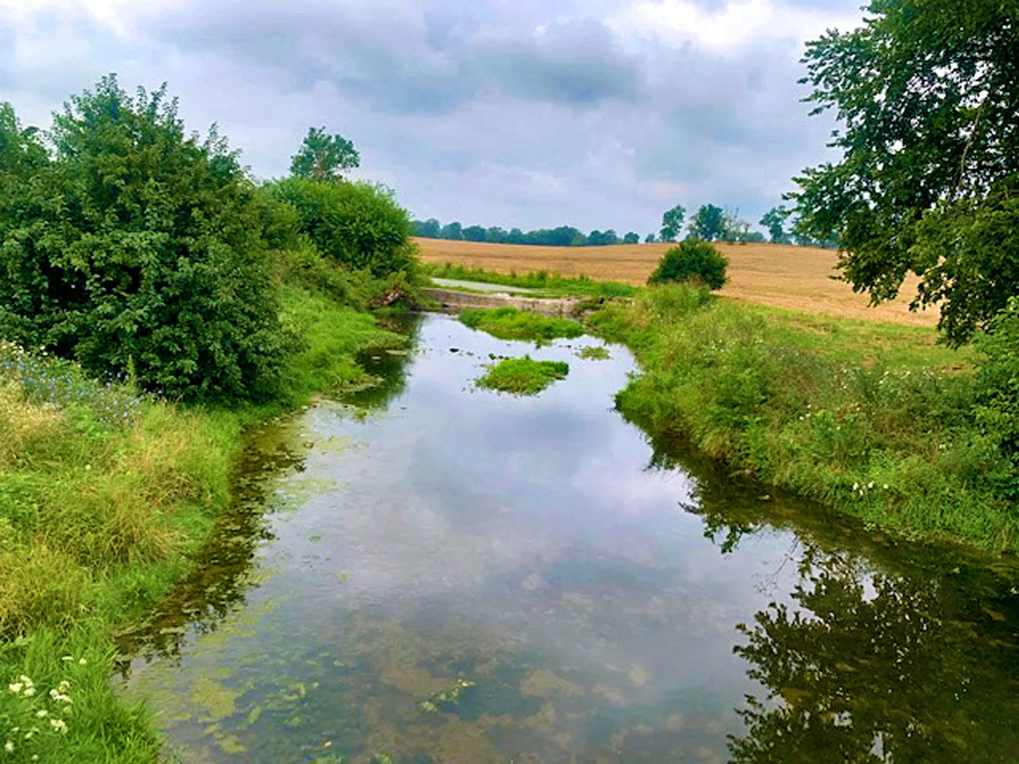 Waterfall on Northwest Property