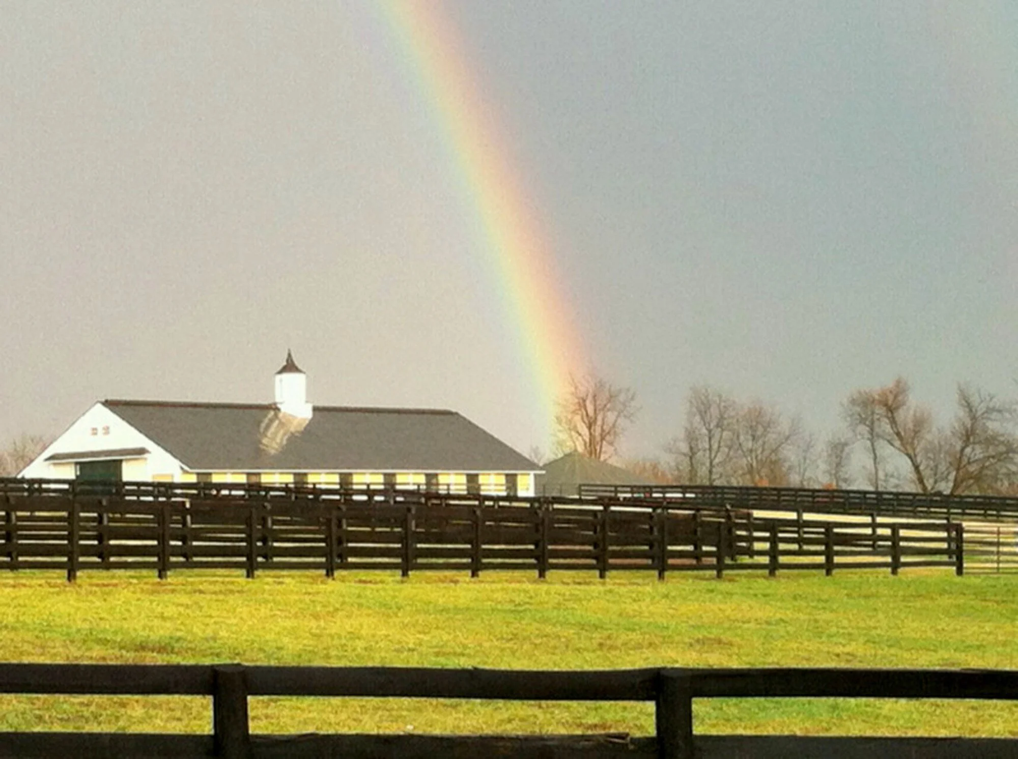 Barns - There are four barns on the property: Creek Barn, Chapel Barn, Hill Barn and Willow Barn. There are also two walking rings.