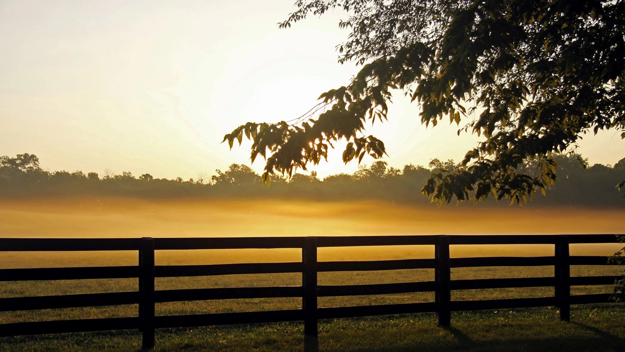 Part 19 - Morning Haze - Photo.jpg