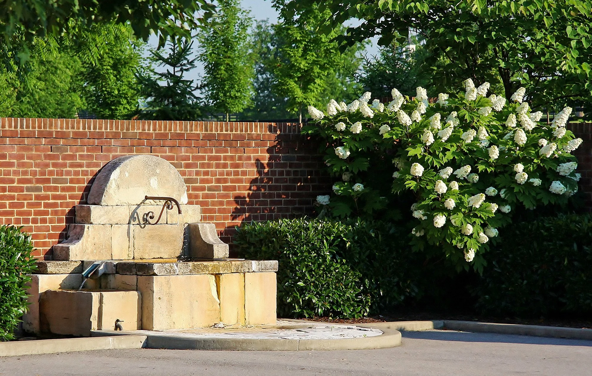 Fountain Outside of Office - The Antique stone double vasque fountain has an antique trough and one stone spout. It is from St. Remy de Provence France and is estimated to be 300 hundred years old.