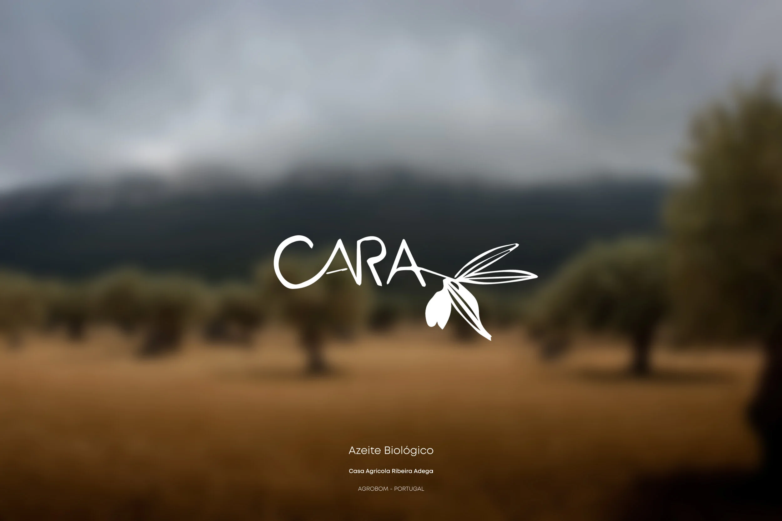 CARA