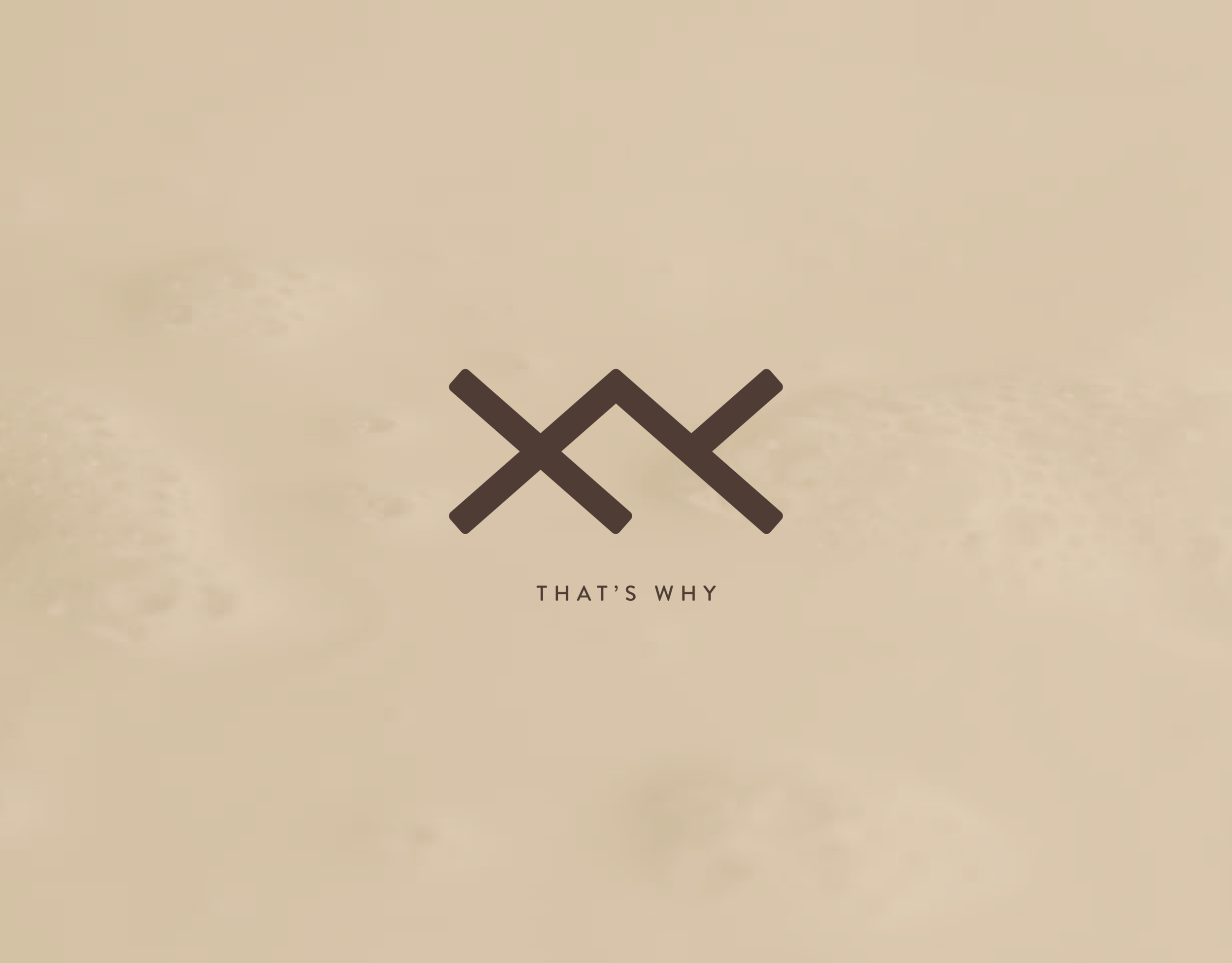 xy_latte_behance-01.png