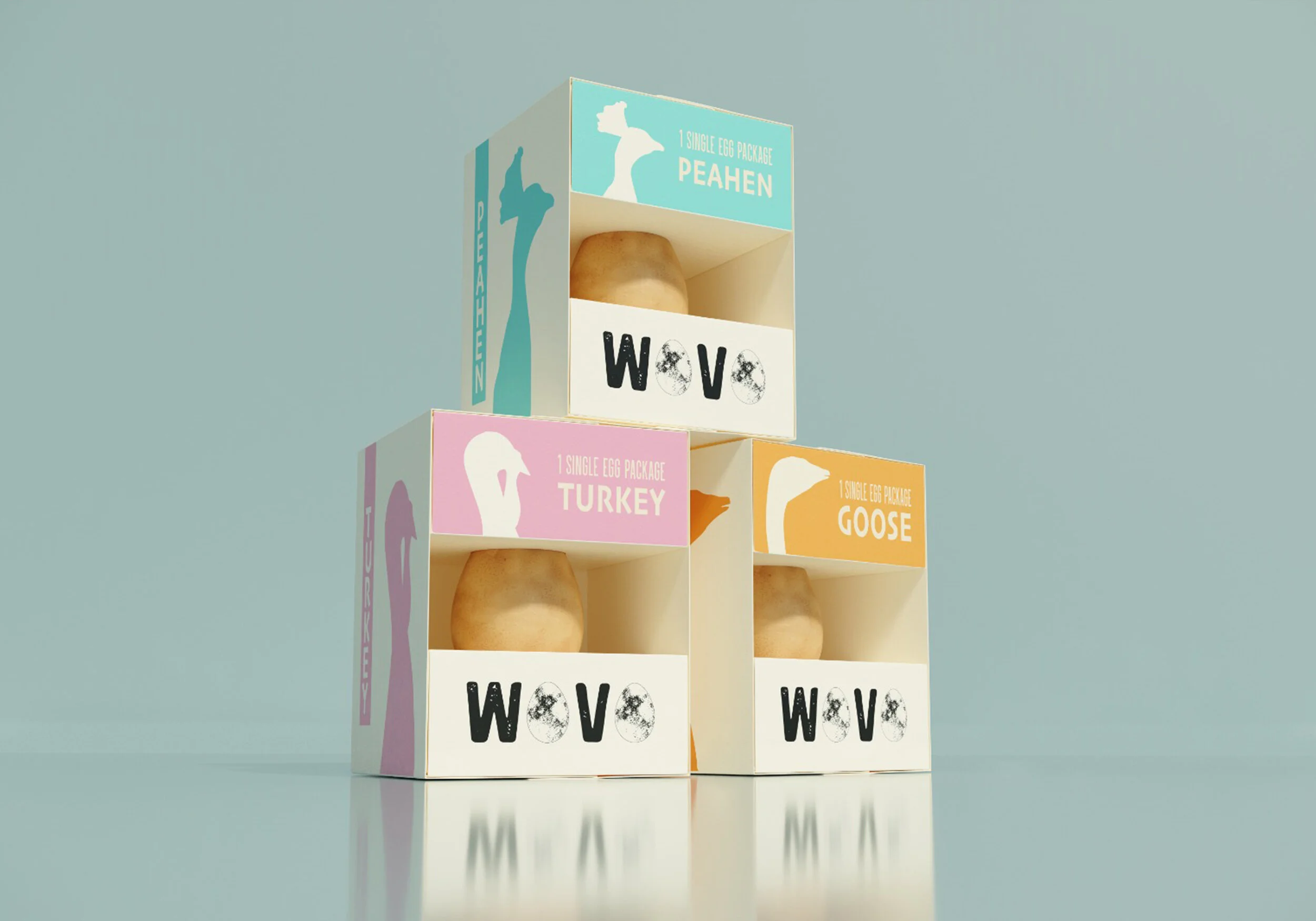 WOVO-portfolio-cover.jpg