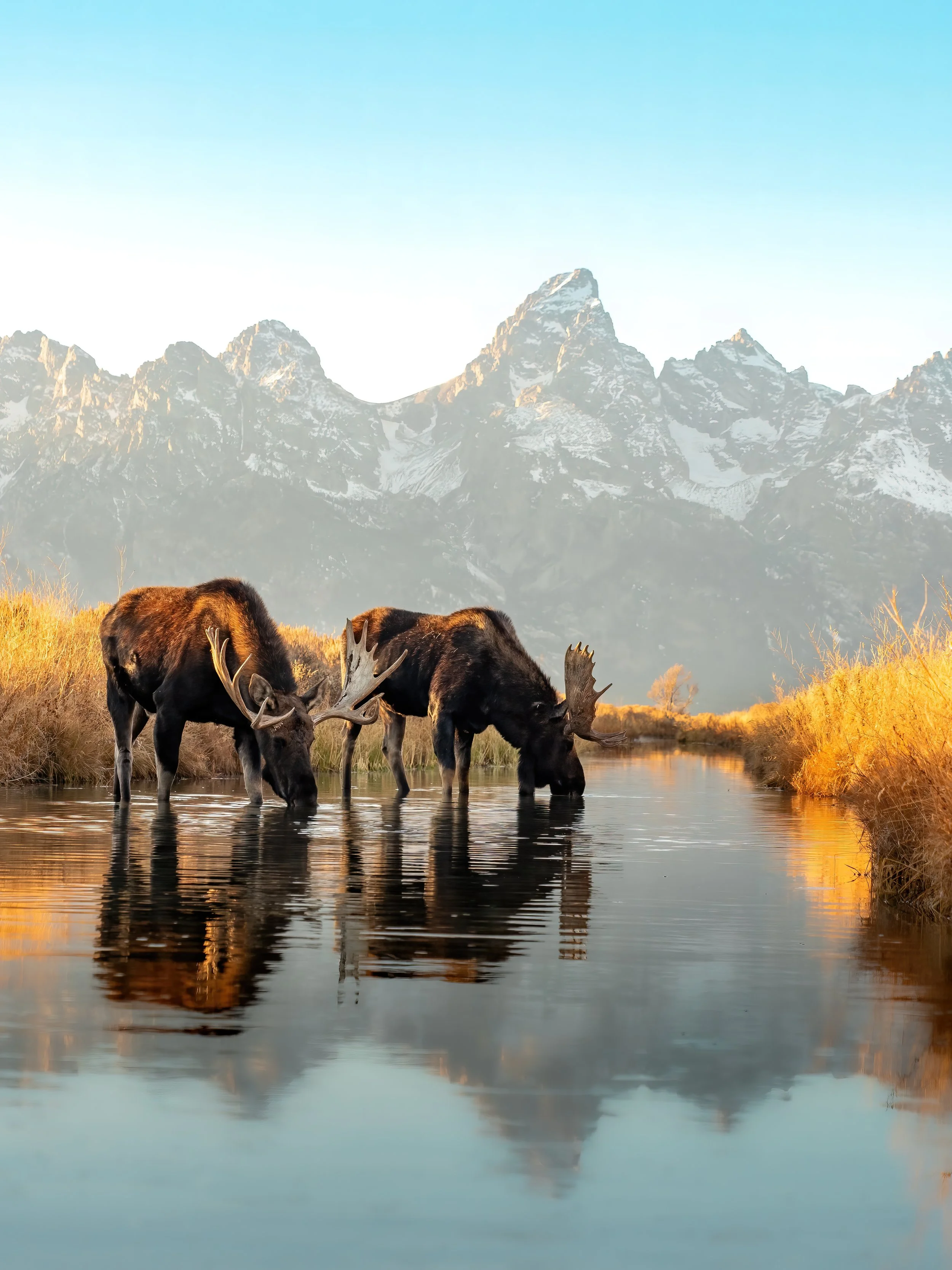 FINE ART World Water Day v1 (Denoise Upscale) JPEG.jpeg